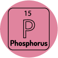 phosphrus
